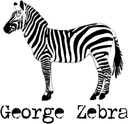 George Zebra – The Indie Folk Band